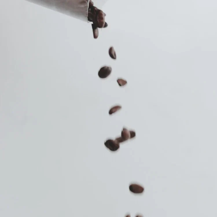 Fresh Roasted Coffee