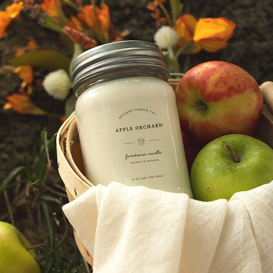 Apple Orchard 16 oz candle