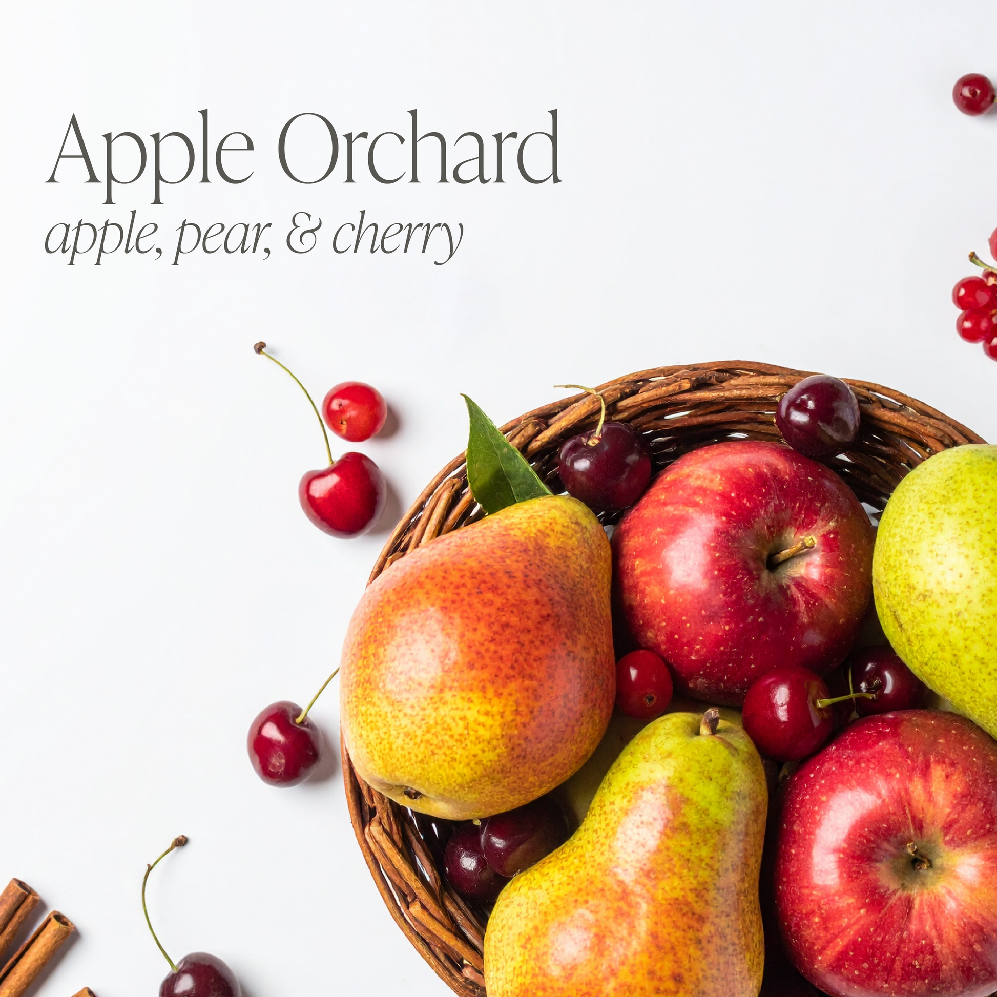 Apple Orchard 16 oz candle