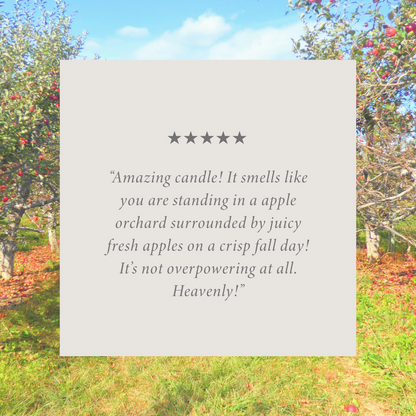 Apple Orchard 16 oz candle