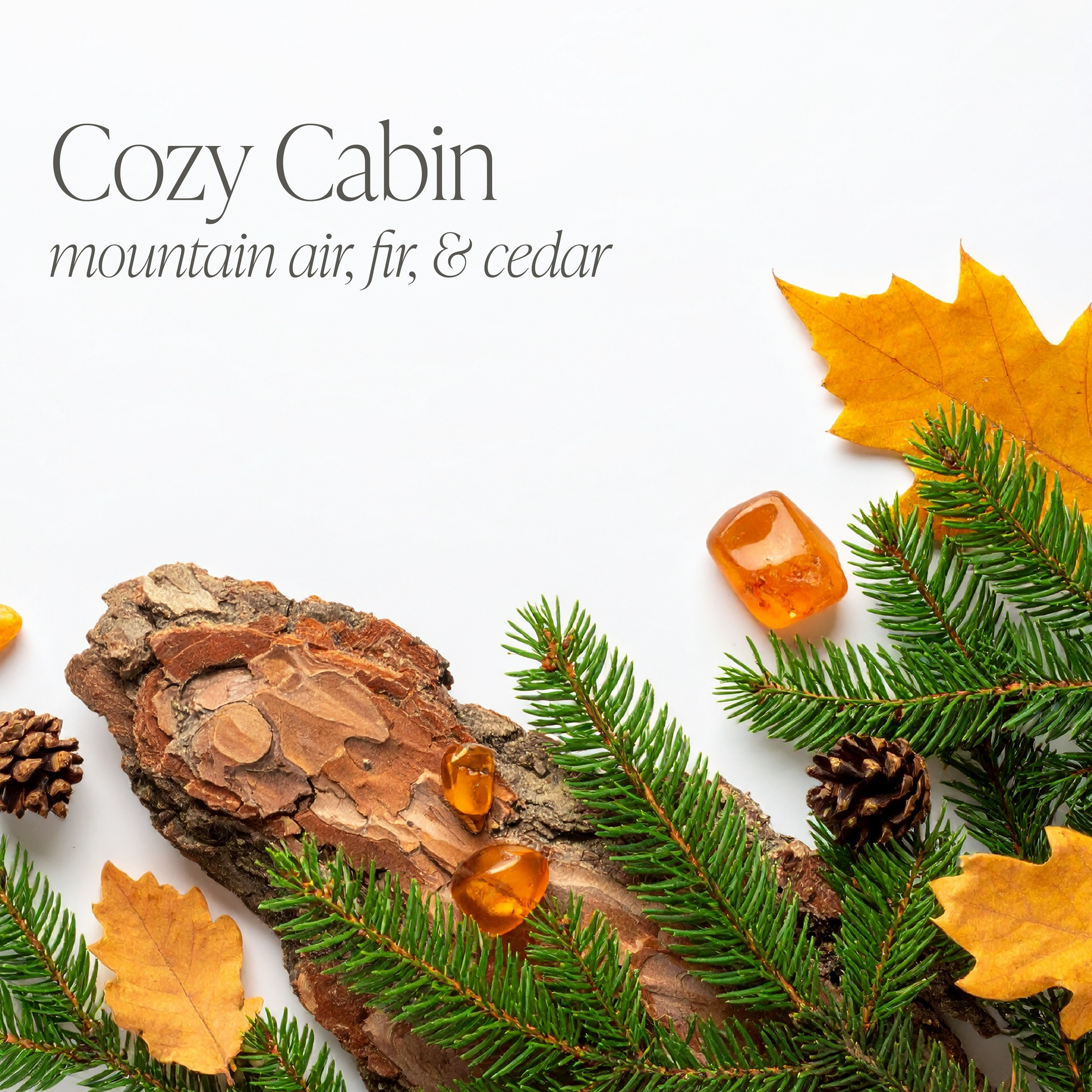 Cozy Cabin Bundle