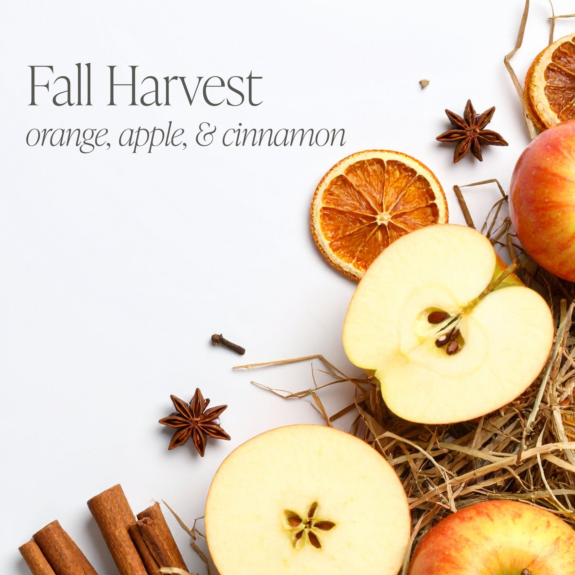 Fall Harvest Sample Pack