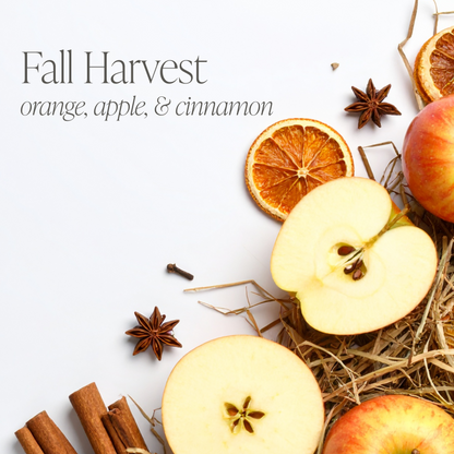 Fall Bundle of Four