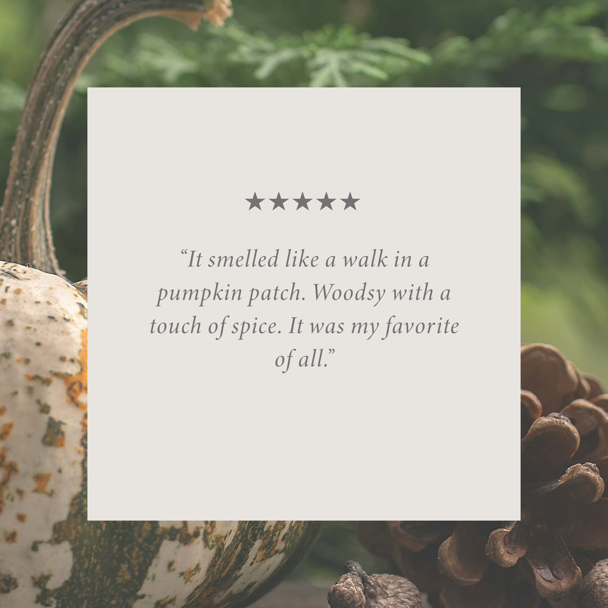 Pumpkin & Pine Bundle